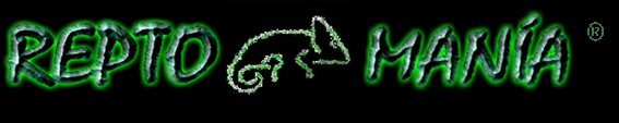 logoarreglado..jpg